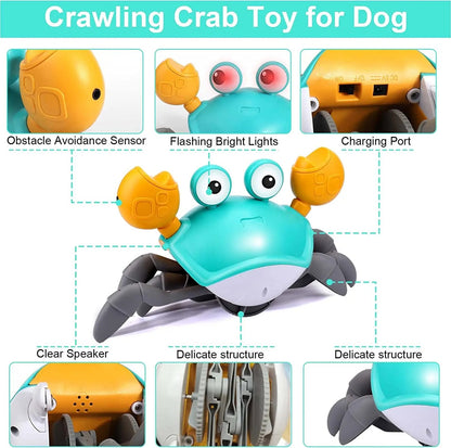 Crawling Crab Interactive Toy