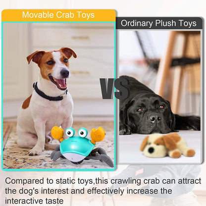 Crawling Crab Interactive Toy